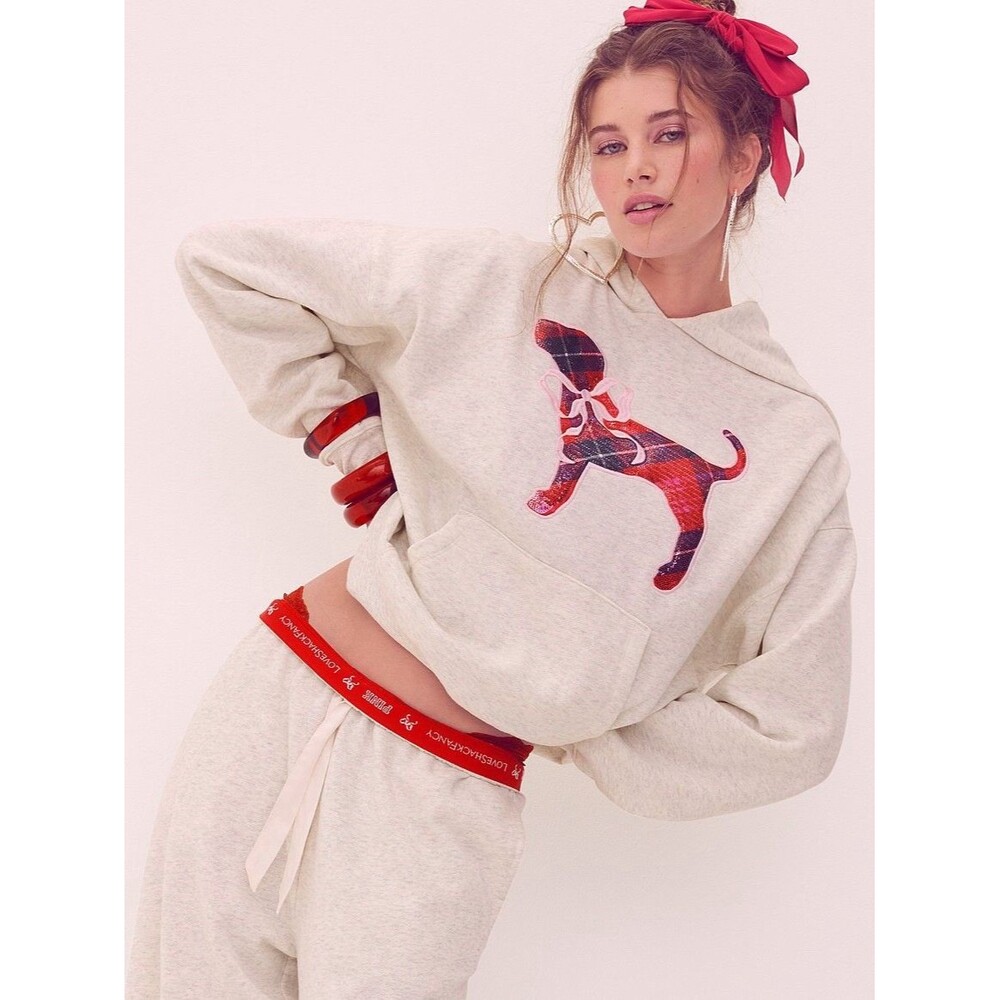 Pink x LoveShackFancy Oversized Hoodie Bling Puppy Campus Sweater Large Gray NEW